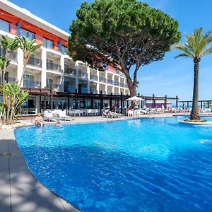 book here